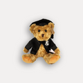 Graduation Bear with Ceremonial Crest Pin