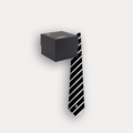 Tie and Gift Box